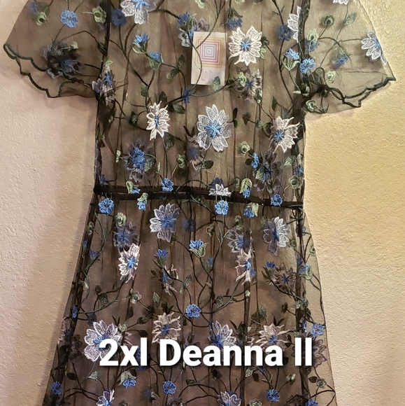 LuLaRoe Dresses & Skirts - DeAnna and DeAnna ll LulaRoe
